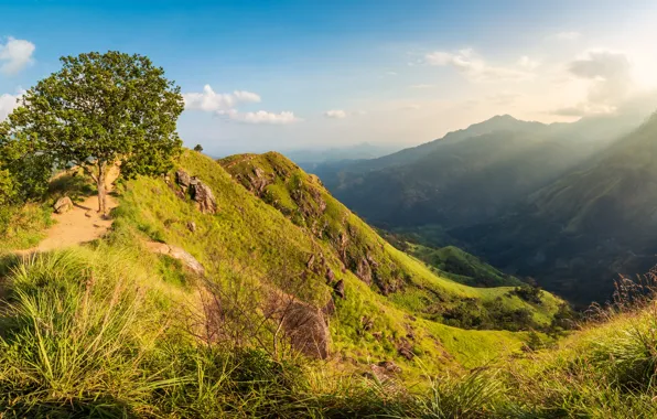 The sky, grass, the sun, clouds, trees, mountains, stones, island