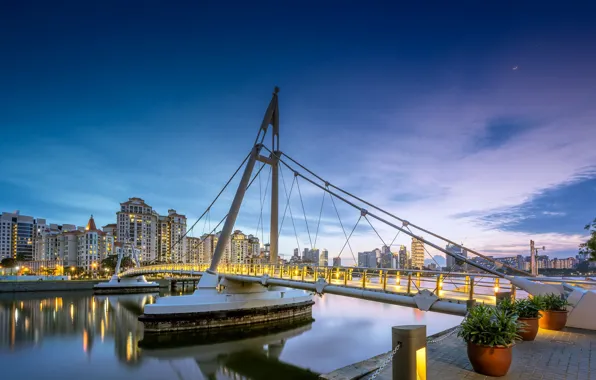 Bridge, night, Singapore, architecture