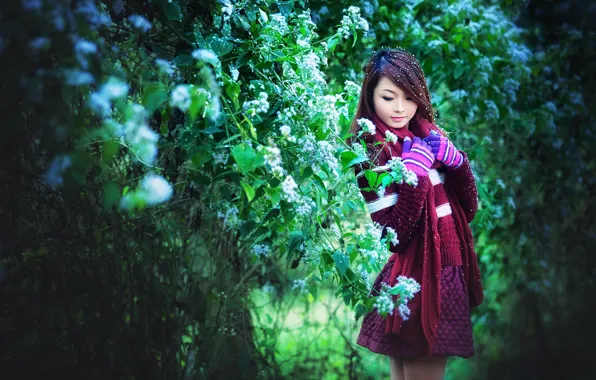 Girl, background, Asian