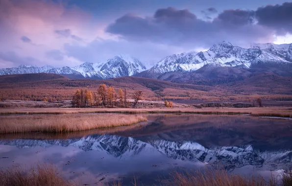 Autumn, snow, trees, mountains, fog, lake, reflection, shore