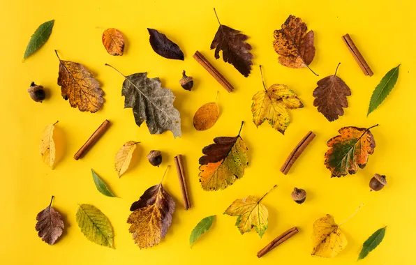 Picture autumn, leaves, background, colorful, cinnamon, yellow, background, autumn