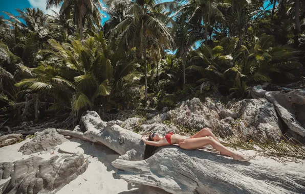 Sand, beach, swimsuit, the sun, trees, pose, stones, palm trees