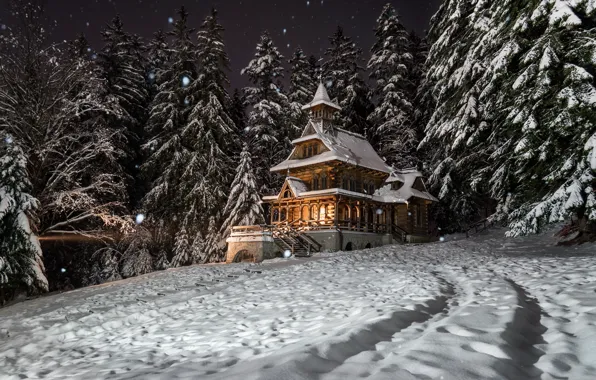 Winter, forest, snow, trees, landscape, night, nature, house