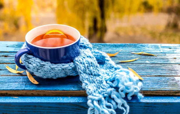 Picture autumn, Cup, autumn, leaves, cup, tea, scarf, fall