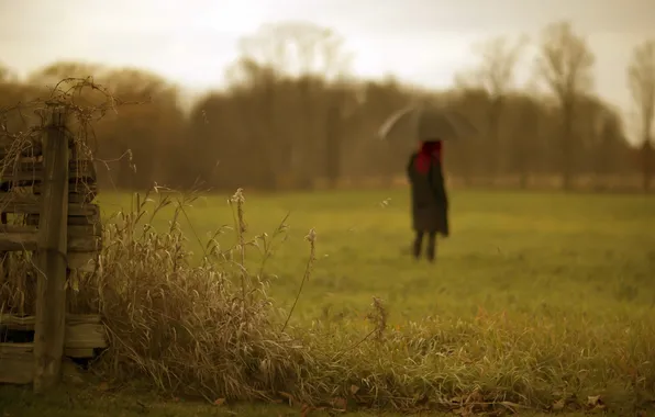 Field, grass, background, the fence