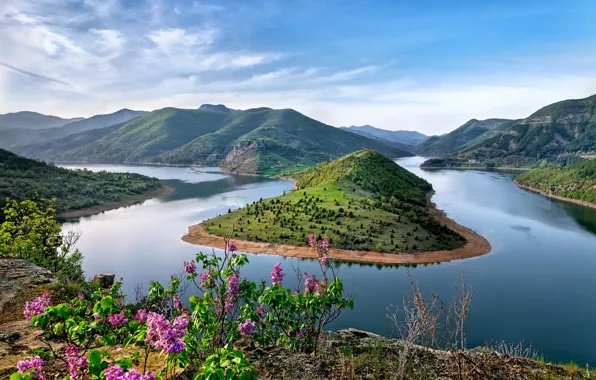 Water, clouds, flowers, mountains, nature, space, space, nature