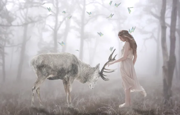 Forest, girl, butterfly, nature, pose, fog, treatment, deer