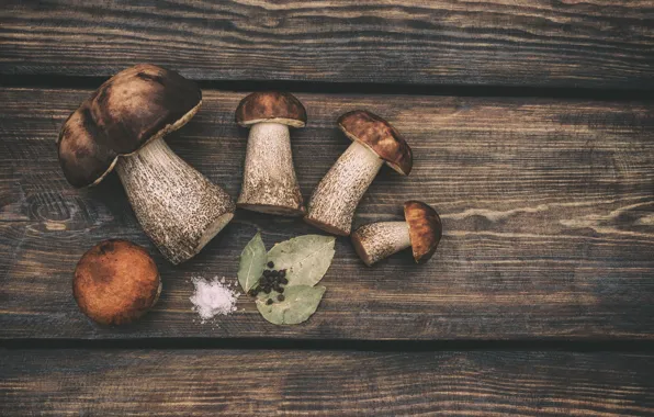 Macro, table, Board, food, salt, Bay leaf, black pepper, HORIBA