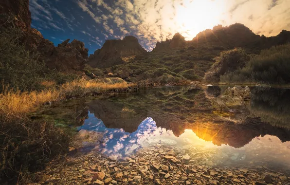 The sky, grass, the sun, clouds, trees, mountains, nature, lake