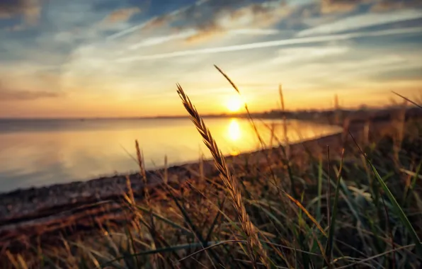 The sun, sunset, lake, reflection, sunshine, sunset, lake, sun