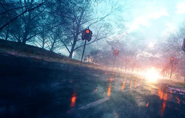 Road, trees, street, after the rain, headlights, traffic lights