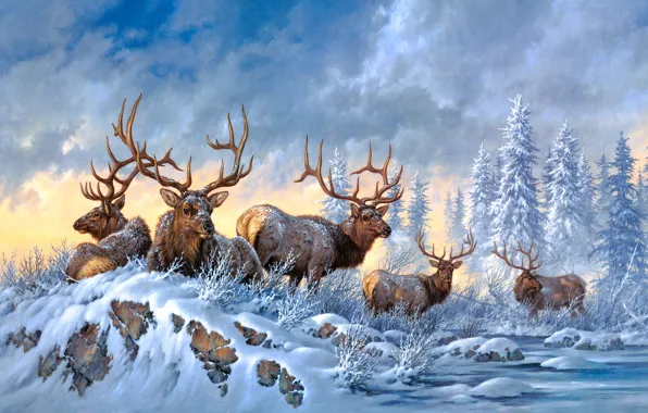 Winter, frost, forest, the sky, look, clouds, snow, nature