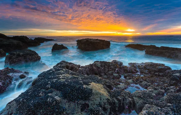 Stones, the ocean, rocks, dawn, shore, USA, Oregon Coast