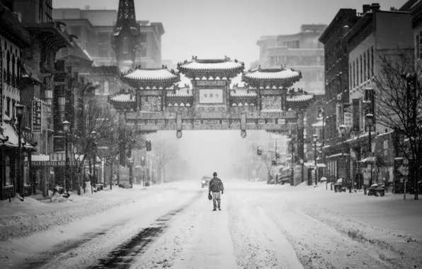 USA, United States, blizzard, snow, street, man, Washington, black and white