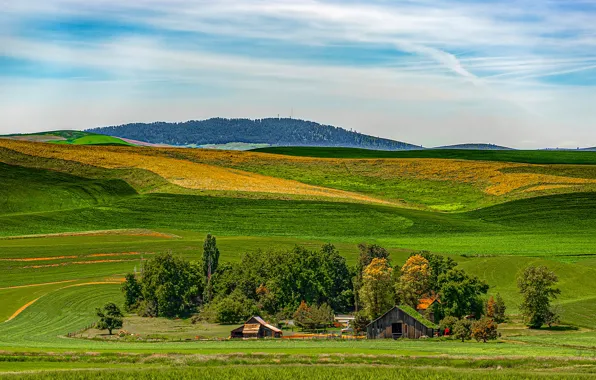 The sky, the sun, trees, field, houses, Washington, USA, Palouse Wheat Fields