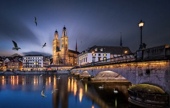 Picture birds, bridge, the city, river, building, the evening, Switzerland, lighting