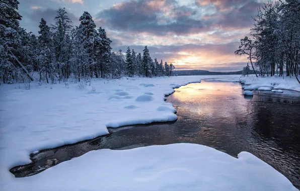 Winter, river, morning