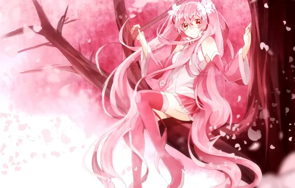 Picture girl, tree, anime, petals, Sakura, art, vocaloid, sakura, mike