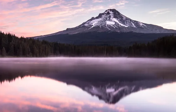 Forest, mountains, nature, lake, haze