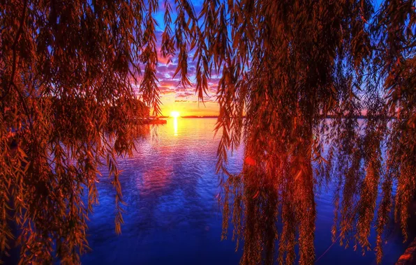 The sky, leaves, water, the sun, sunset, reflection, branch, IVA