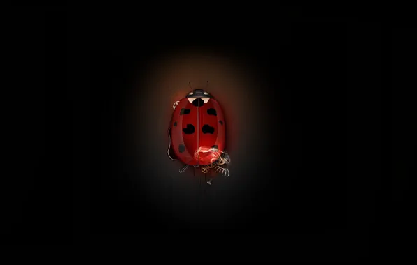 Minimalism, Beetle, Ladybug, Mechanism, Gear