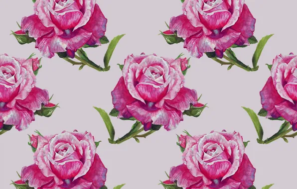 Wallpaper background, roses, buds for mobile and desktop, section ...