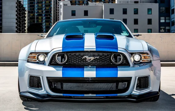Picture Mustang, Ford, Shelby, GT500, Ford, Mustang, Speed, For