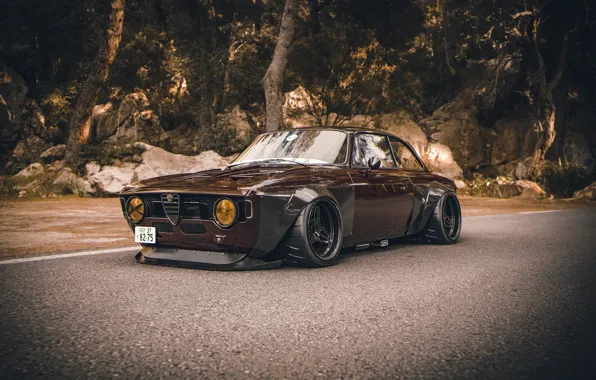 Machine, Style, Alfa Romeo, Car, 1965, Tuning, Rendering, Giulia