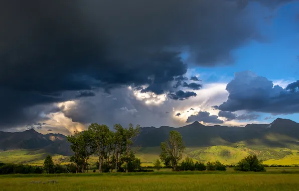 Field, summer, the sky, light, trees, mountains, clouds, blue