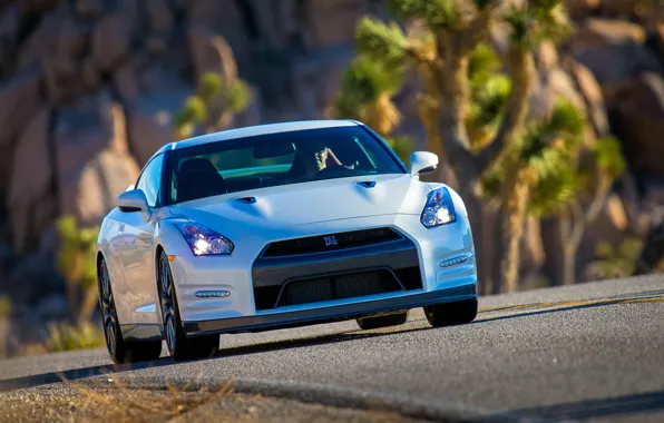 Picture Nissan, GT-R, R35, front view, Nissan GT-R Black Edition