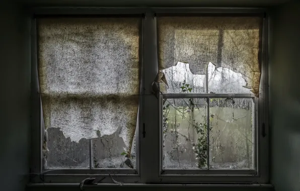 House, window, curtains, naturalism
