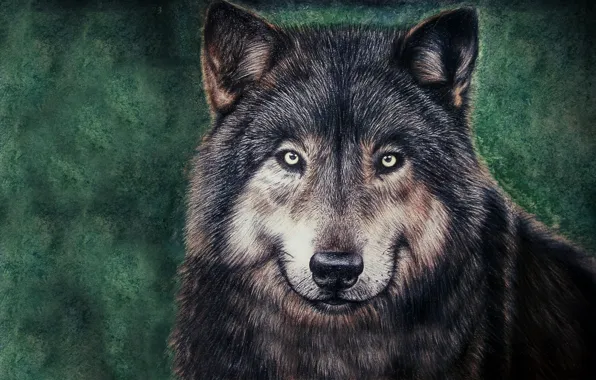 Face, wolf, painting, wolf