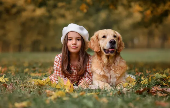 Autumn, language, grass, nature, pose, Park, together, foliage