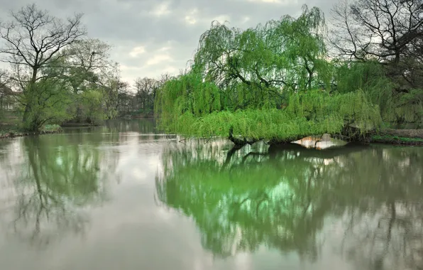 Trees, lake, Park, spring, Dresden