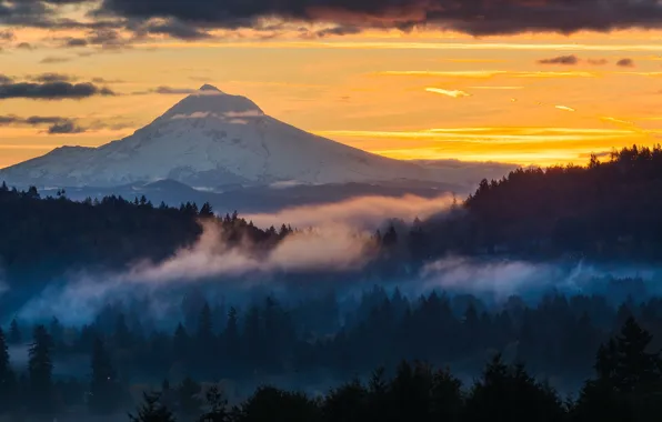 Forest, sunset, mountains, fog, the evening