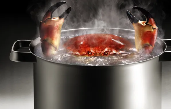 Crab, boiling water, pan