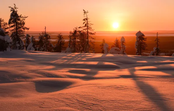 Picture winter, the sun, light, snow, trees, sunset, frost, Maxim Evdokimov