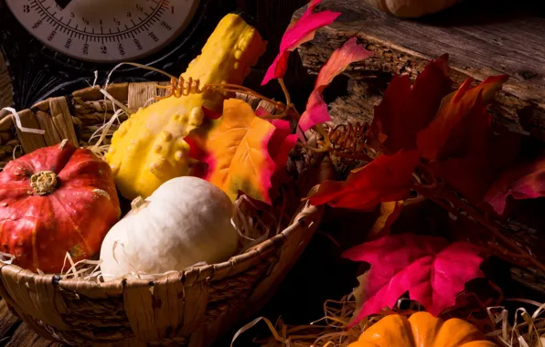 Leaves, basket, pumpkin, the gifts of autumn