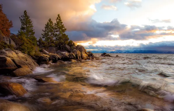 Picture wave, clouds, trees, landscape, clouds, storm, nature, lake