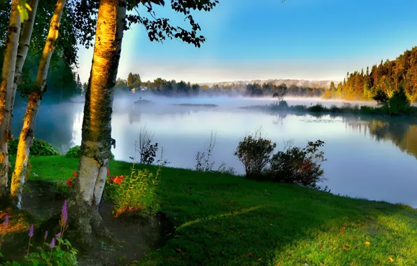 Summer, trees, landscape, nature, fog, lake, morning, Canada