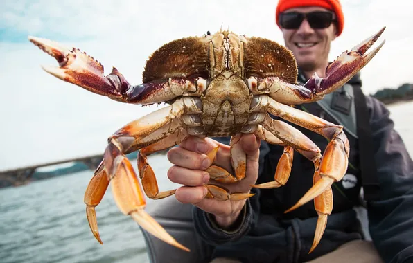 Catch, crab, tweezers