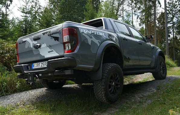 Picture grey, Ford, wheel, body, Raptor, pickup, hanging, suspension