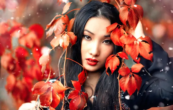 Picture leaves, snow, makeup, Alessandro Di Cicco, Huan