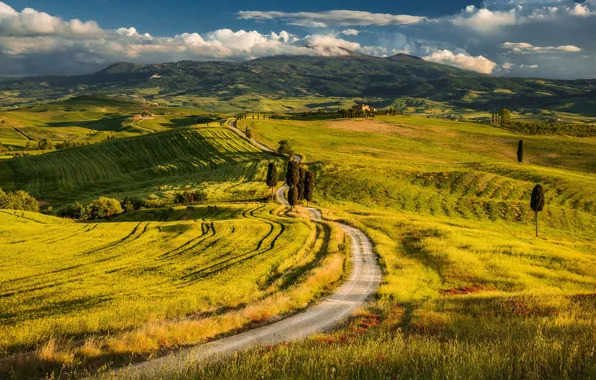 Road, hills, Italy, Tuscany
