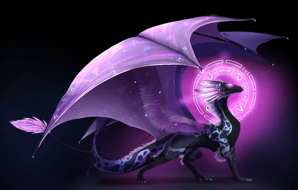 Picture space, dragon, cruise