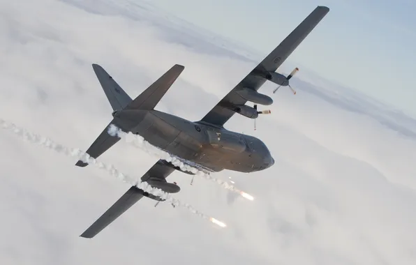 The plane, military transport, C-130, Super Hercules