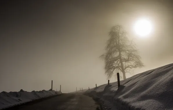 Picture winter, road, landscape, nature, fog, tree, the fence, morning