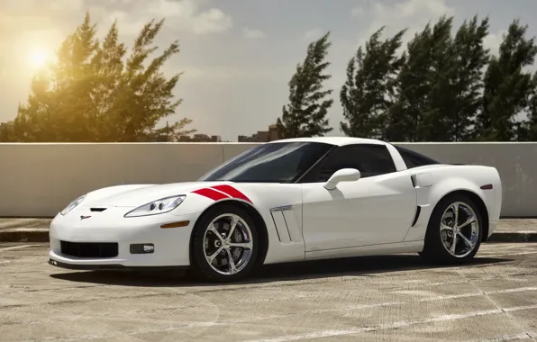 Picture sport, white, corvette, chevrolet, grand