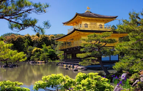Picture trees, landscape, nature, pond, Park, Villa, Japan, temple