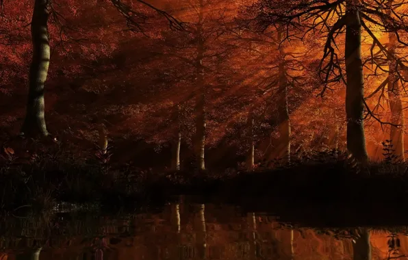 Forest, leaves, water, rays, trees, red